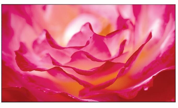 BenQ PL460 Digital Signage