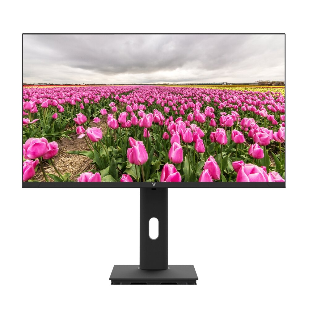 V7 L238V0-HAS-E 24" FHD IPS 100Hz Multimedia Monitor