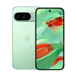Google Pixel 9 256gb Wintergreen