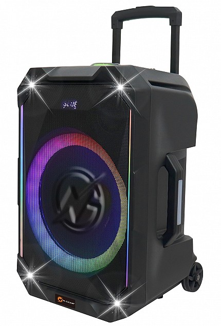 N-Gear FLASH1240 12'' Portable Karaoke Speaker with 1x Wireless Mic LED Lights USB & BT