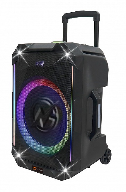 N-Gear FLASH1040 10'' Portable Karaoke Speaker with 1x Wireless Mic LED Lights USB & BT