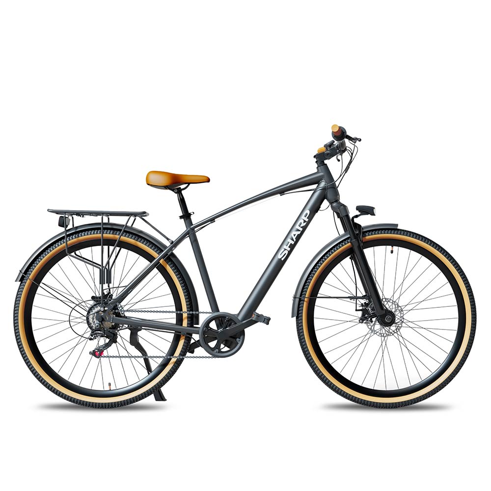 Electric Bicycle 29" SHARP E-Bike BK-DM03E-B black