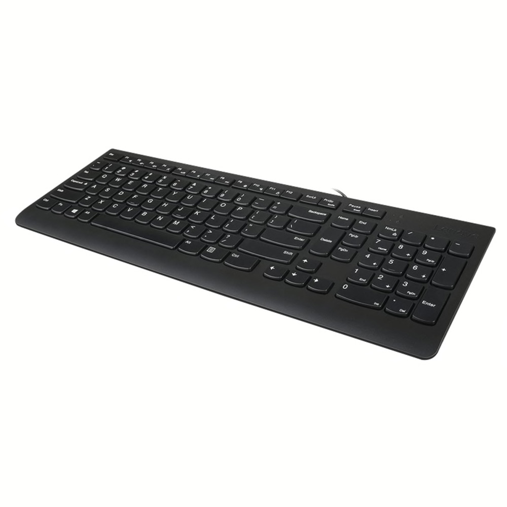 Corded Keyboard LENOVO 300 GX30M39655 US black