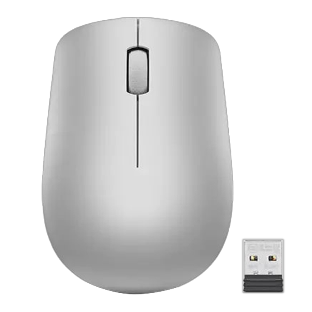 Cordless Mouse Optical LENOVO 530 GY50Z18984 platinum grey
