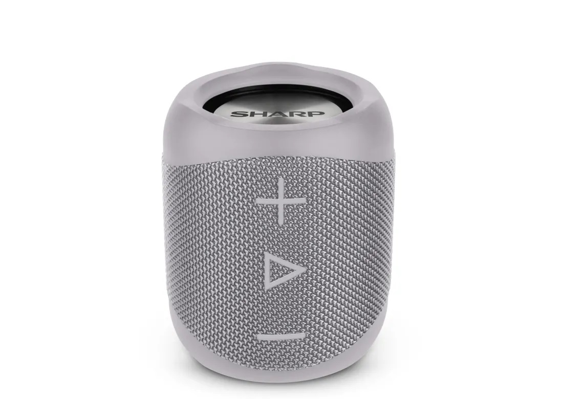 Portable Speaker SHARP GX-BT180GR grey