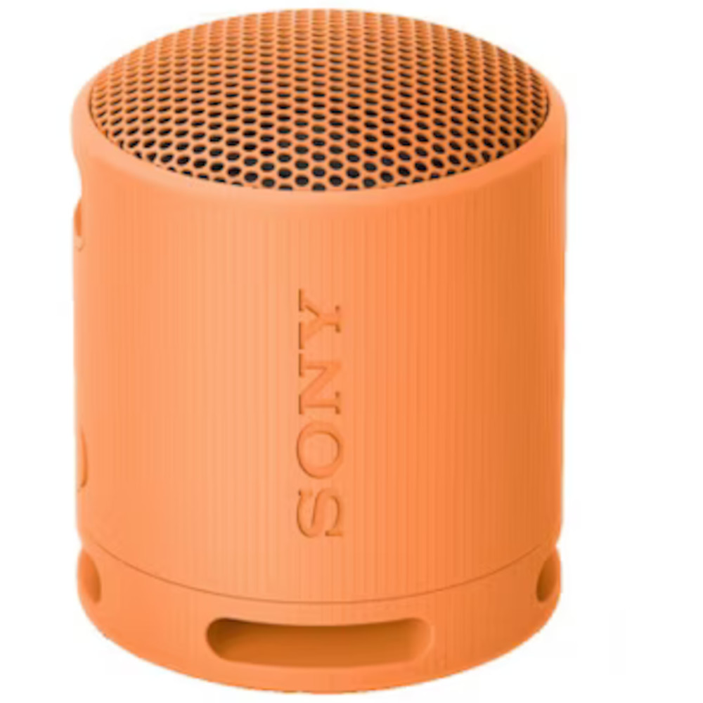 Portable Speaker SONY SRSXB100D.CE7 orange